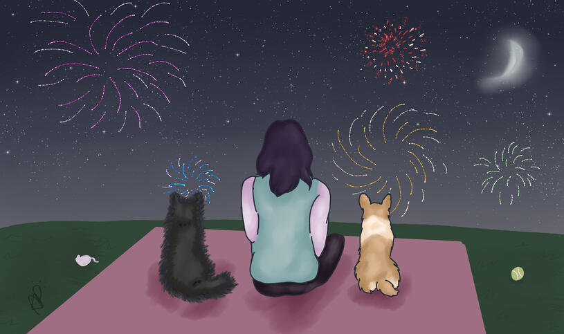 Watching Fireworks with a Cat and Dog